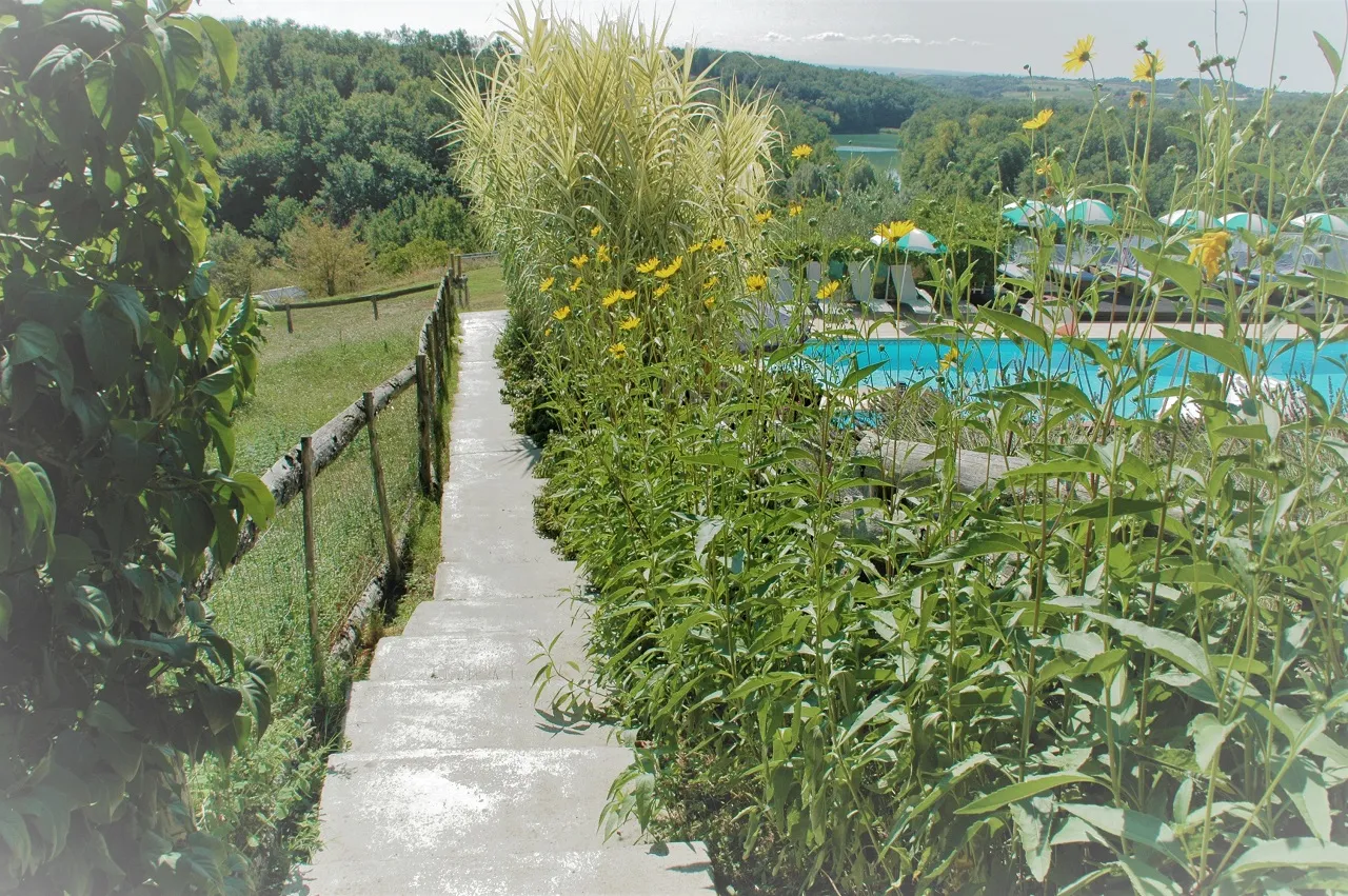Chemin vers la piscine camping Univers Roussel