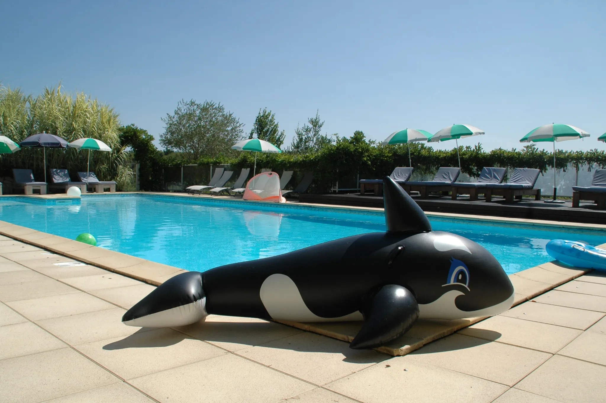 Piscine Camping Univers Roussel