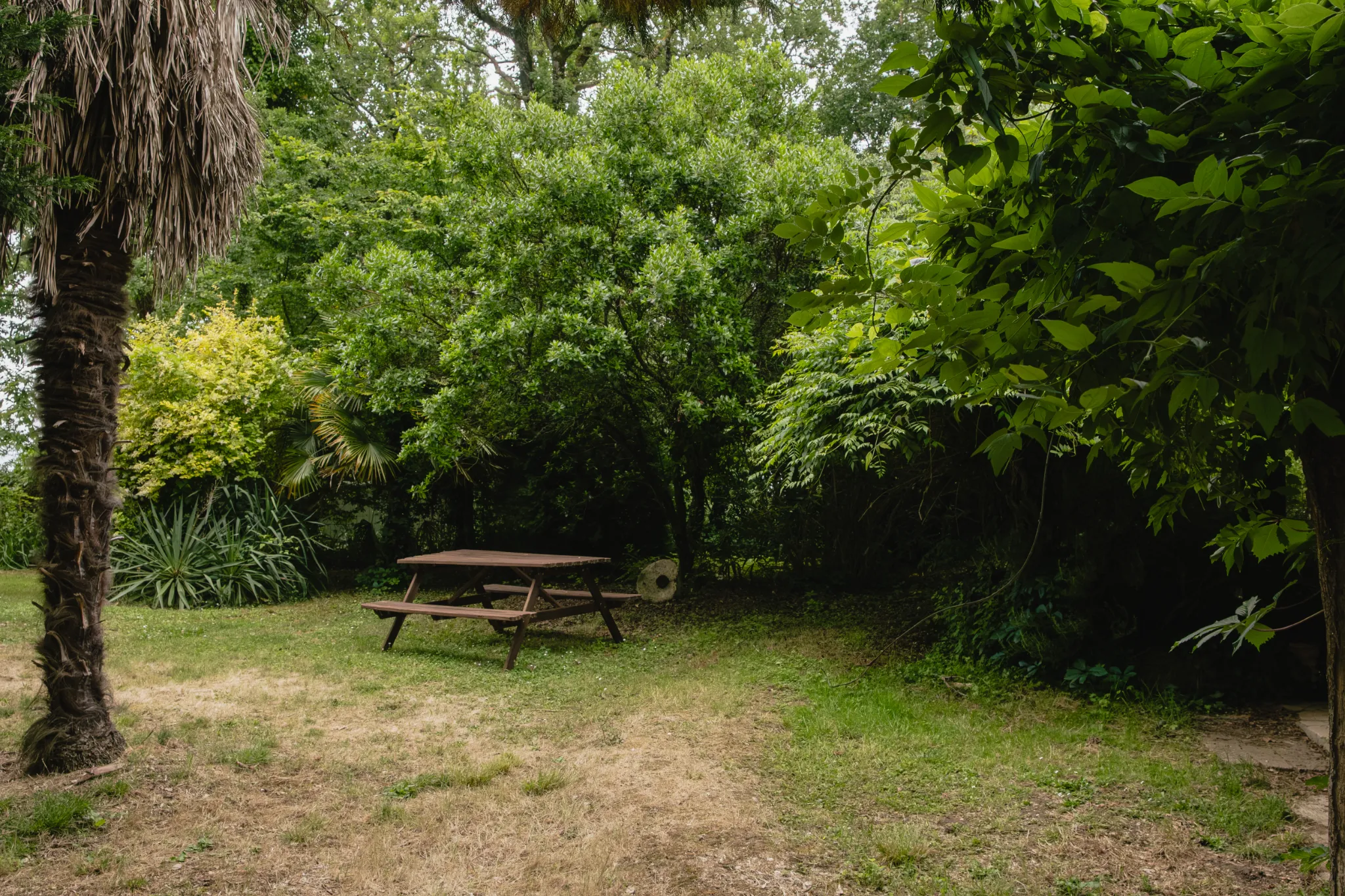 Table de picnic jardin gîte 5